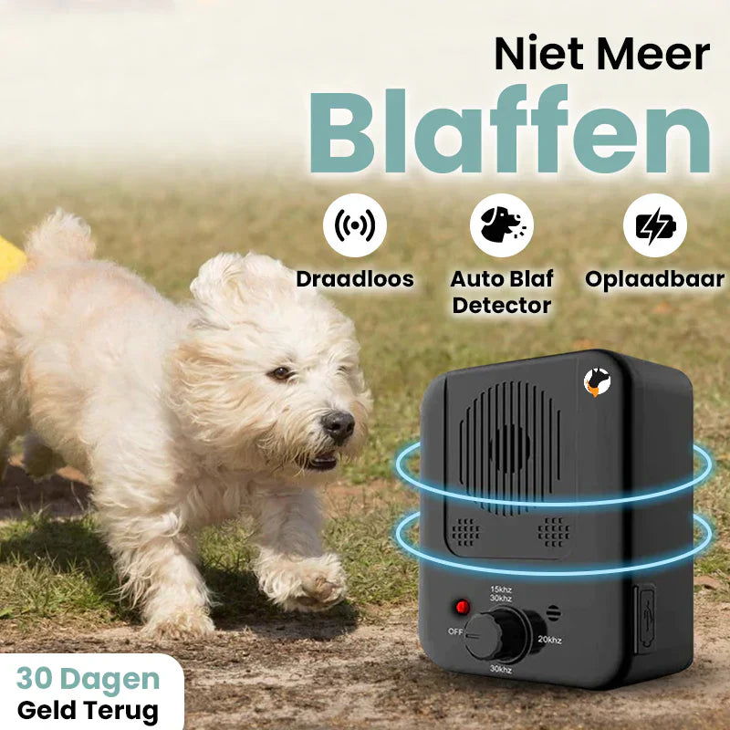 Automatischer Bellen-Stopp – RuheHund