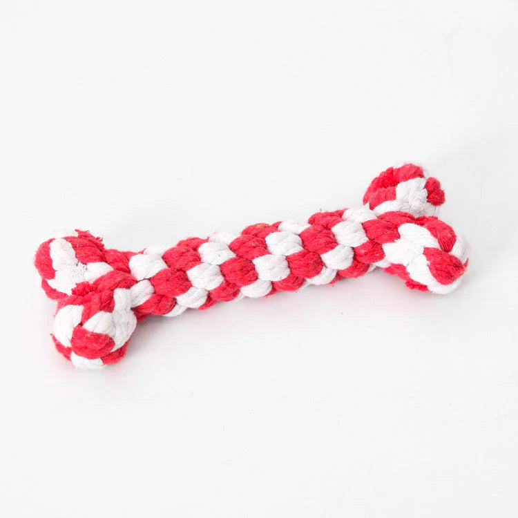 Zahnspielzeug für Hunde – ZahnBuddy