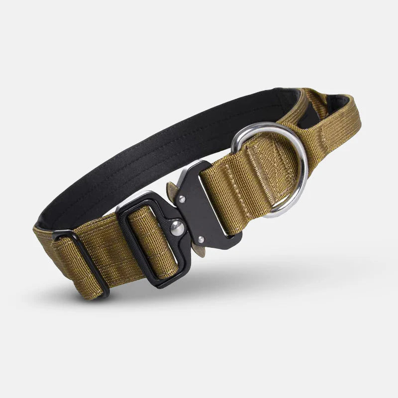 Taktisches Hundehalsband mit Griff – GripMeister