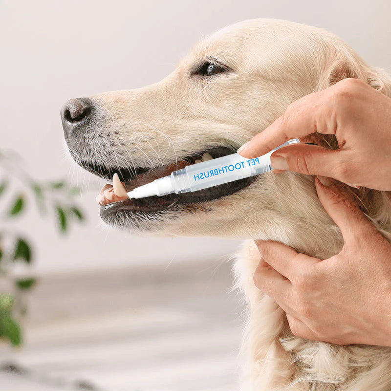 Pet Zahnbürsten-Stick - FrischBiss