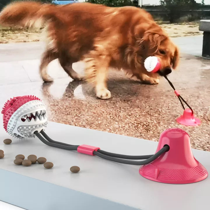 Dauerhaftes Zerrtau für Hunde – KraftPfote