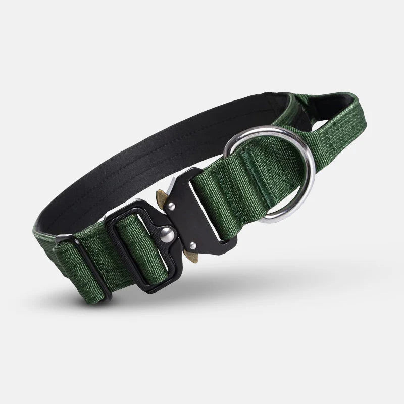 Taktisches Hundehalsband mit Griff – GripMeister