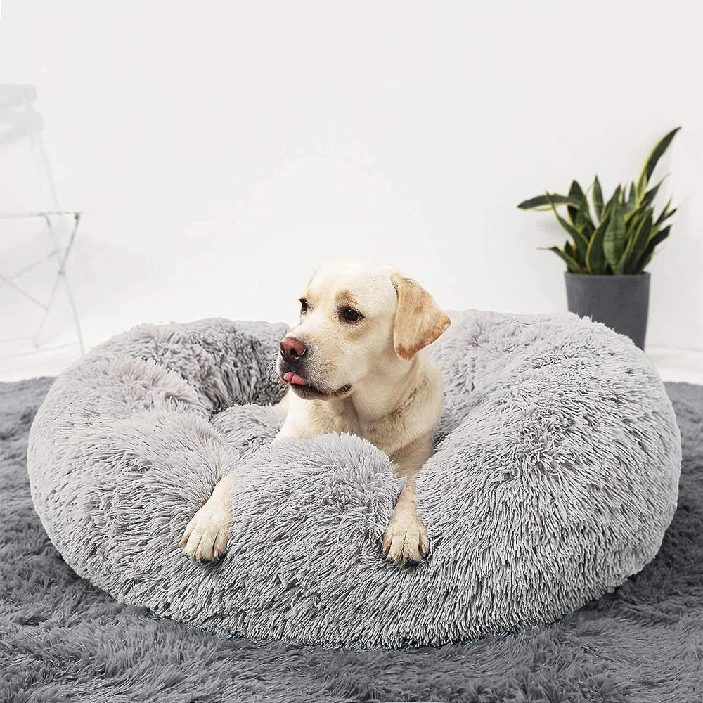 Premium Hundebett