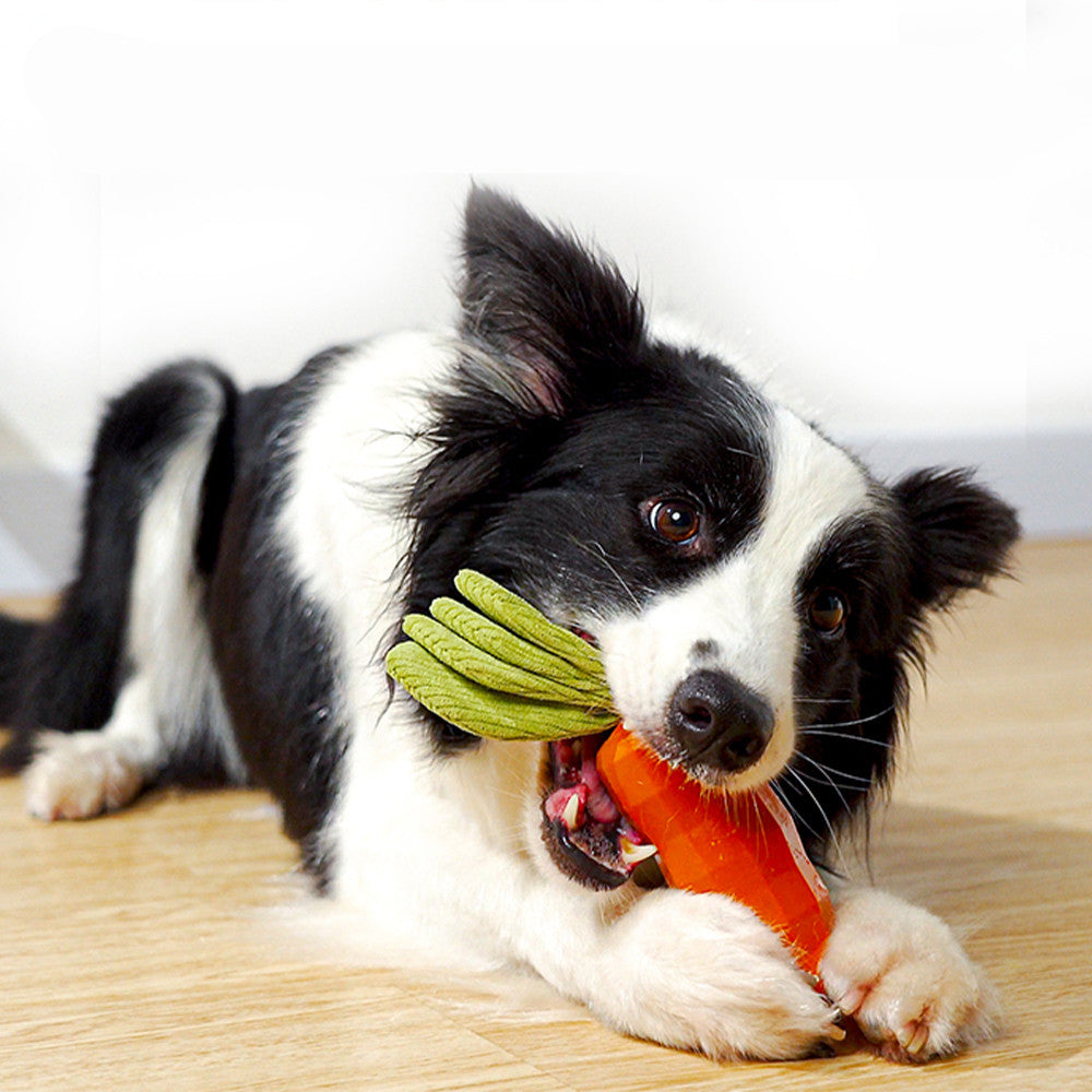 Umweltfreundliche Natur Kautschuck Karotte für Hunde