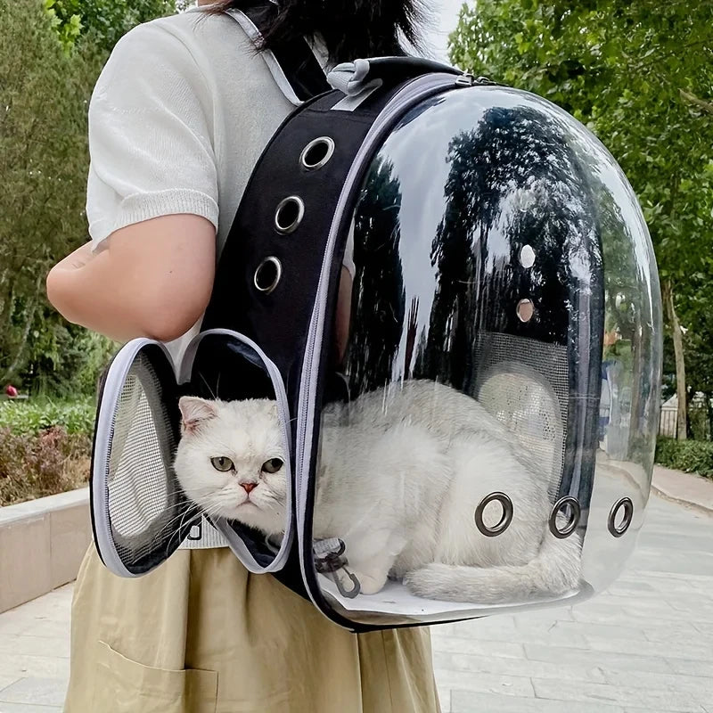 Ausklappbarer Katzen/Hunde Rucksack