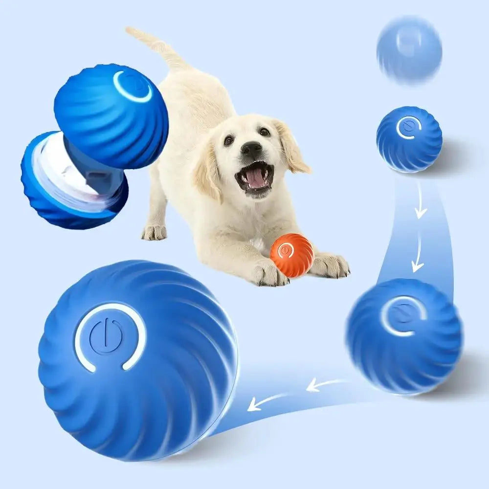 Interaktiver Springball für Hunde