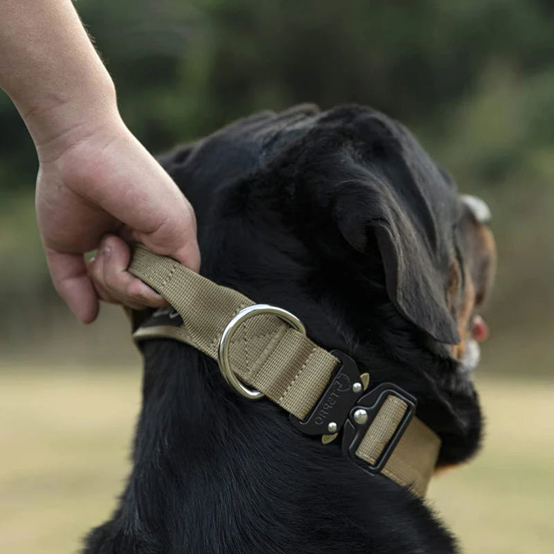 Taktisches Hundehalsband mit Griff – GripMeister