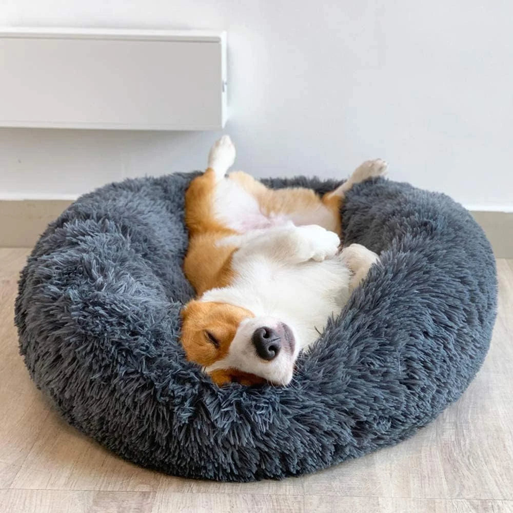 Premium Hundebett
