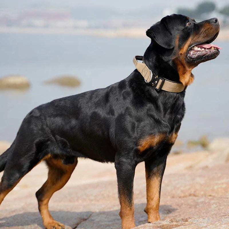 Taktisches Hundehalsband mit Griff – GripMeister