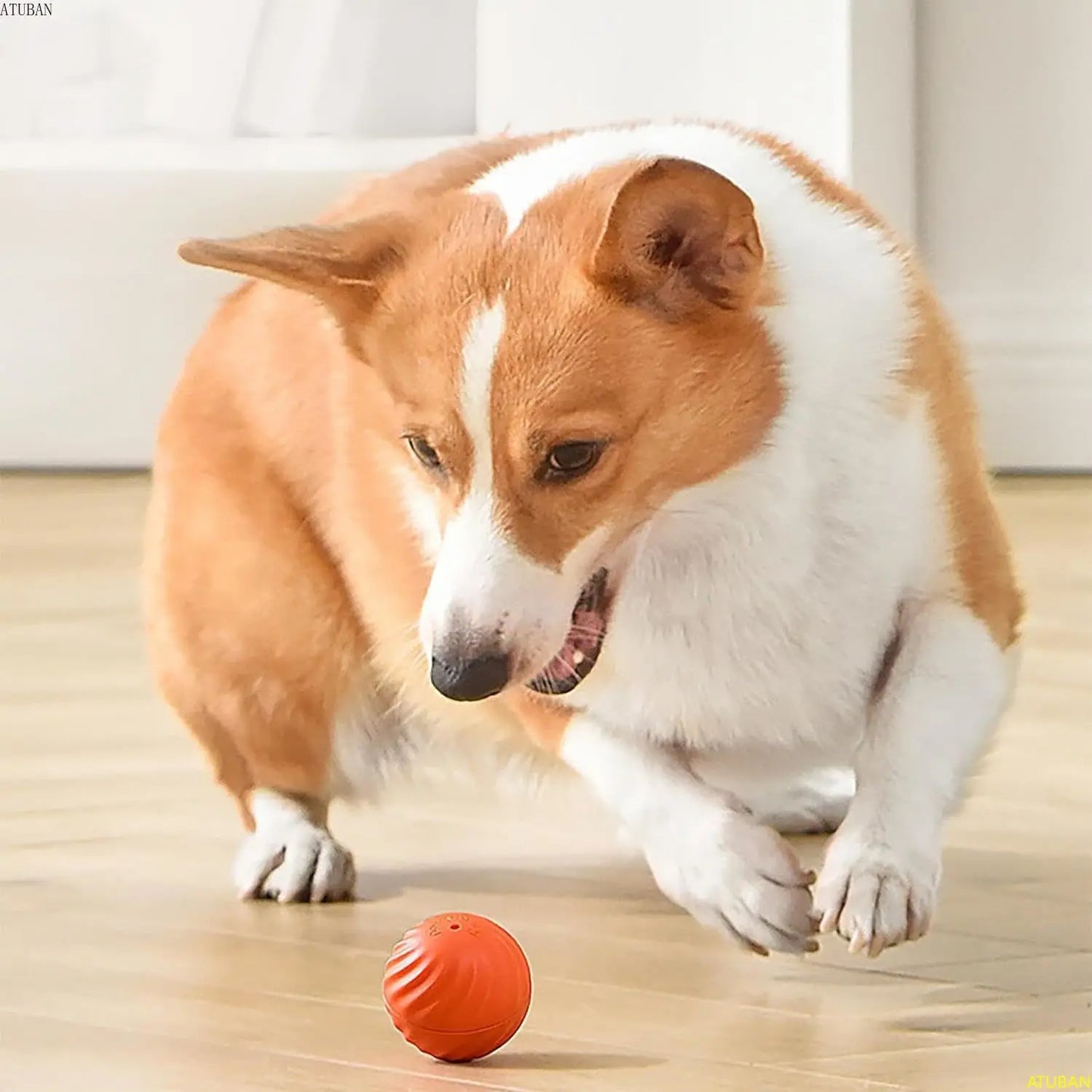 Interaktiver Springball für Hunde