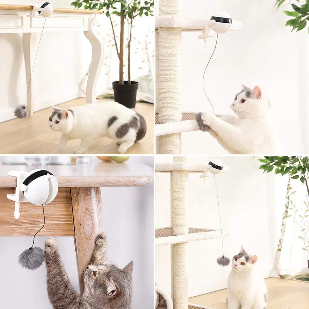 Interaktives Katzenspielzeug mit Automatischer Schnur
