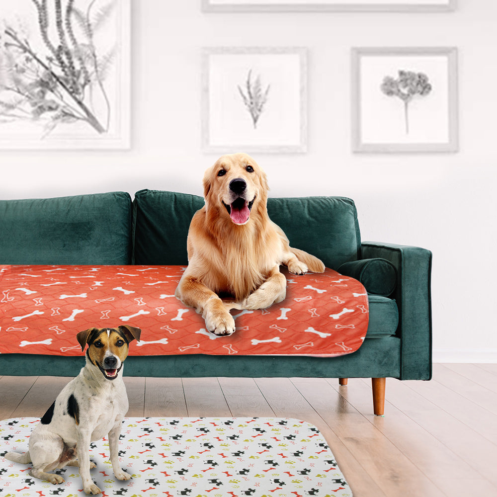 PipiPad - Inkontinenzmatte für Hunde