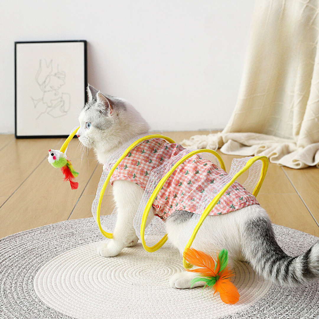 Interaktives Katzen Spiralspielzeugs