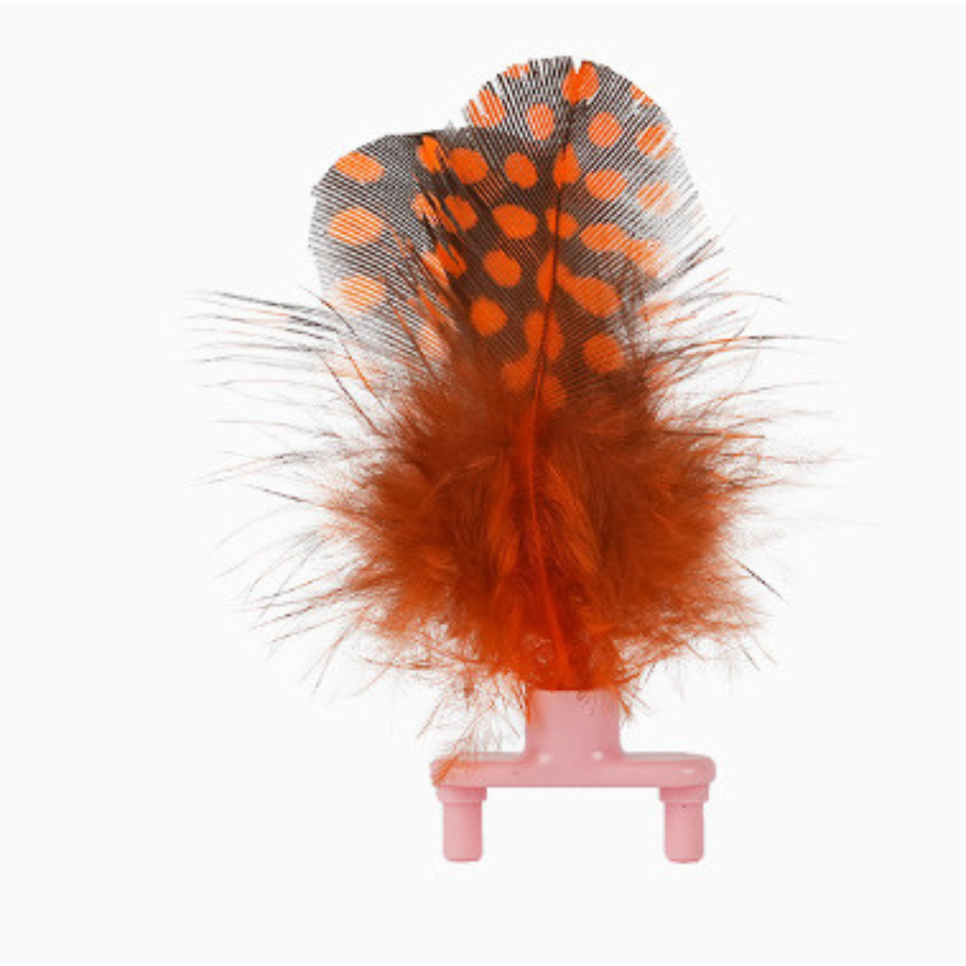 Interaktives Bienen Katzen Spielzeug mit Federn