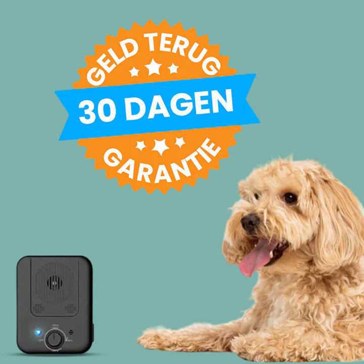 Automatischer Bellen-Stopp – RuheHund