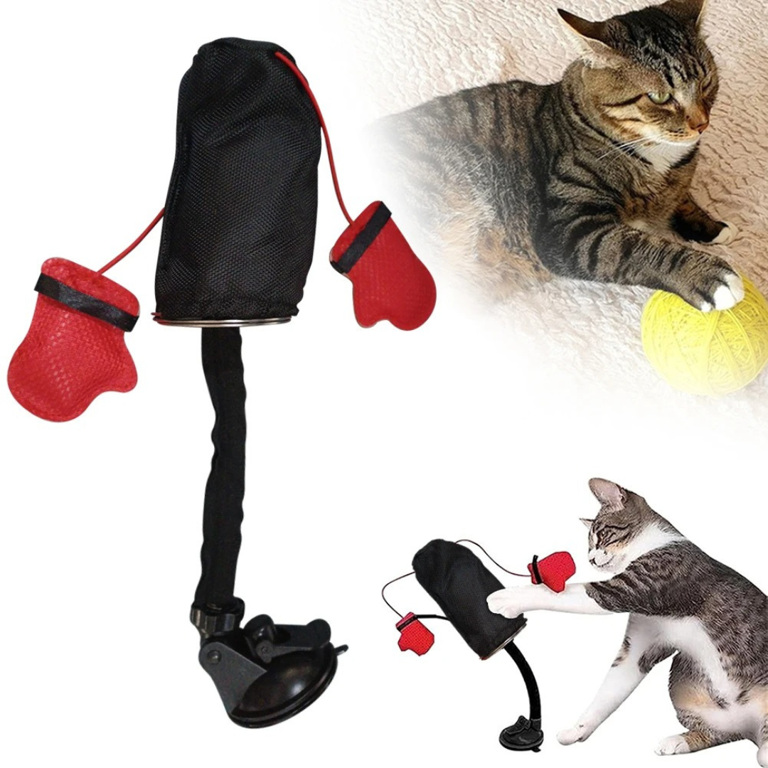 Interaktives Boxsack Katzen Spielzeug