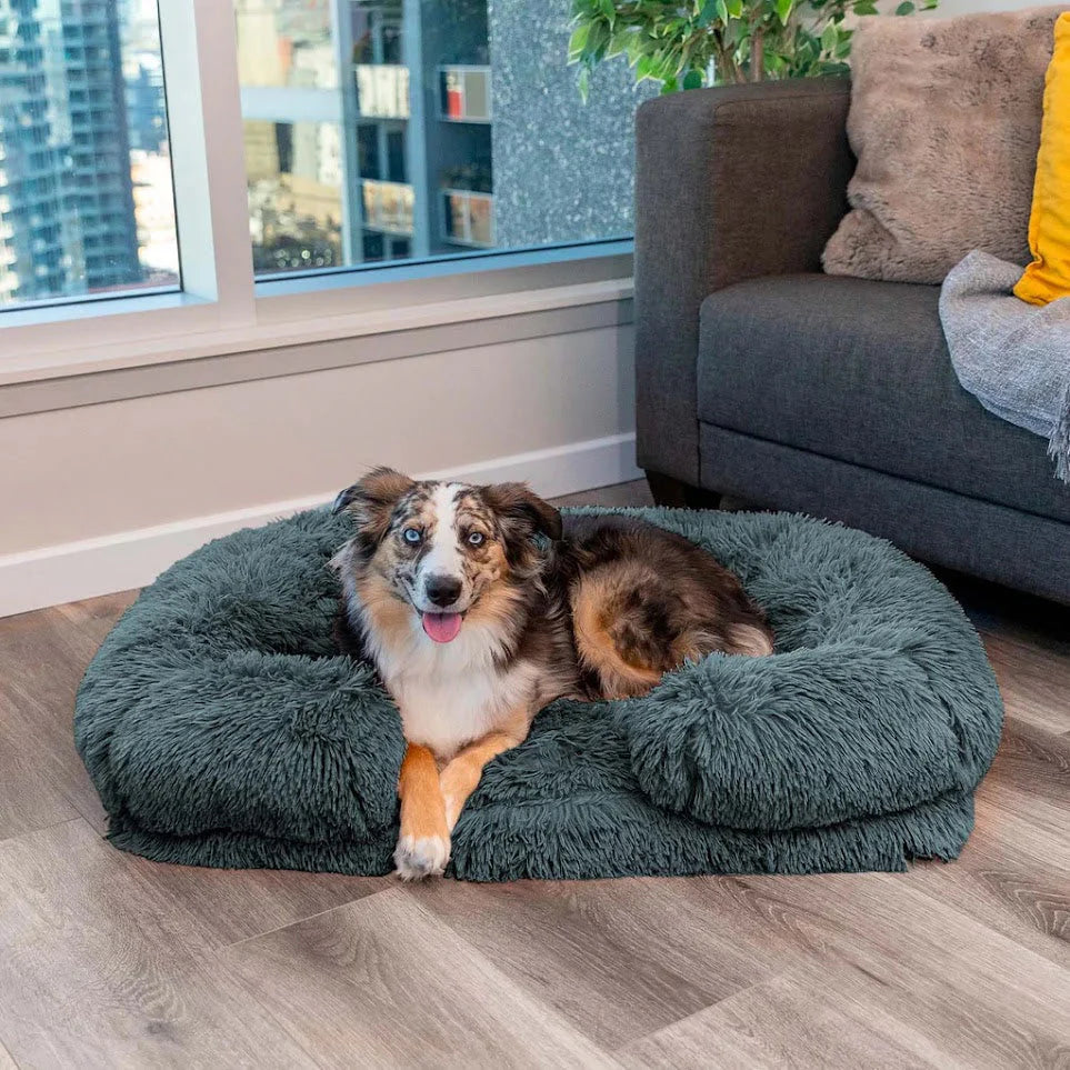 TraumPfote Orthopädisches Hundebett – Perfekter Schlafplatz für deinen Vierbeiner