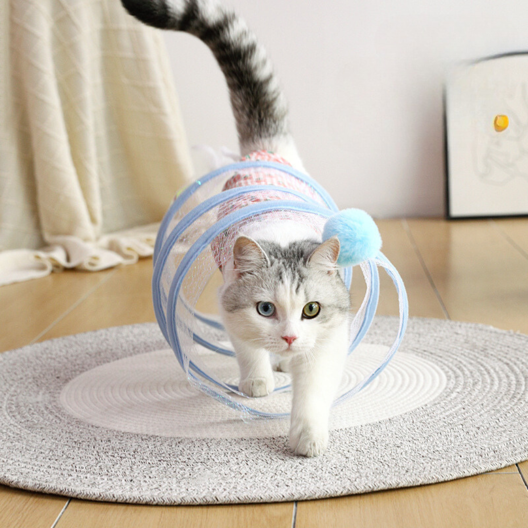Interaktives Katzen Spiralspielzeugs