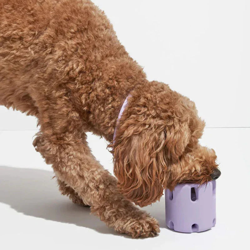 Zahnpflege-Spielzeug für Hunde – SprungBiss