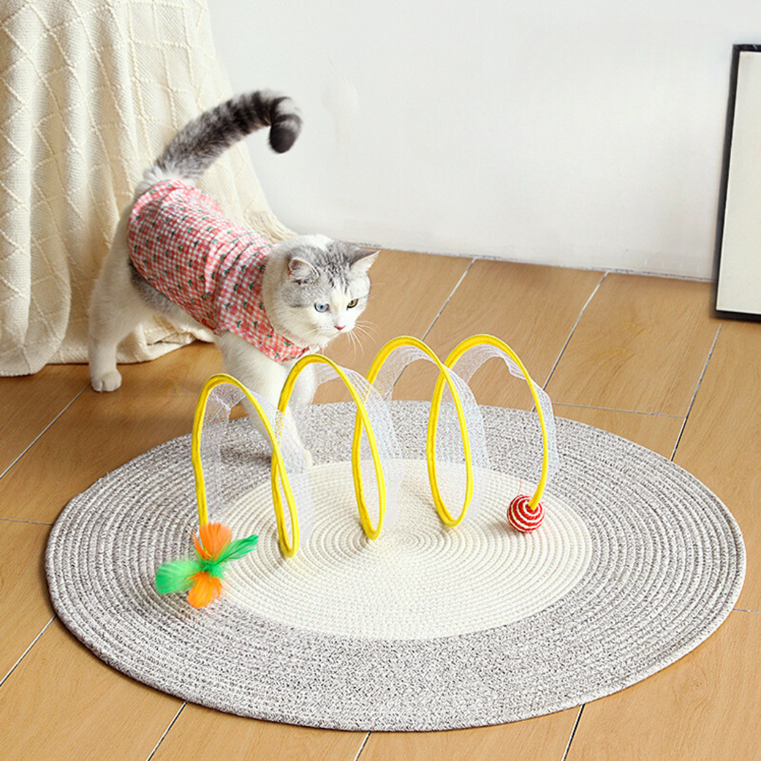 Interaktives Katzen Spiralspielzeugs