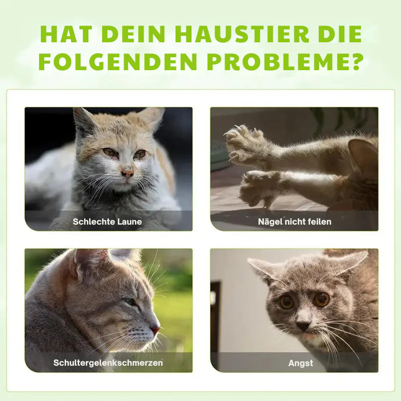 Beruhigungs-Spray für Katzen - Silberblatt Spray