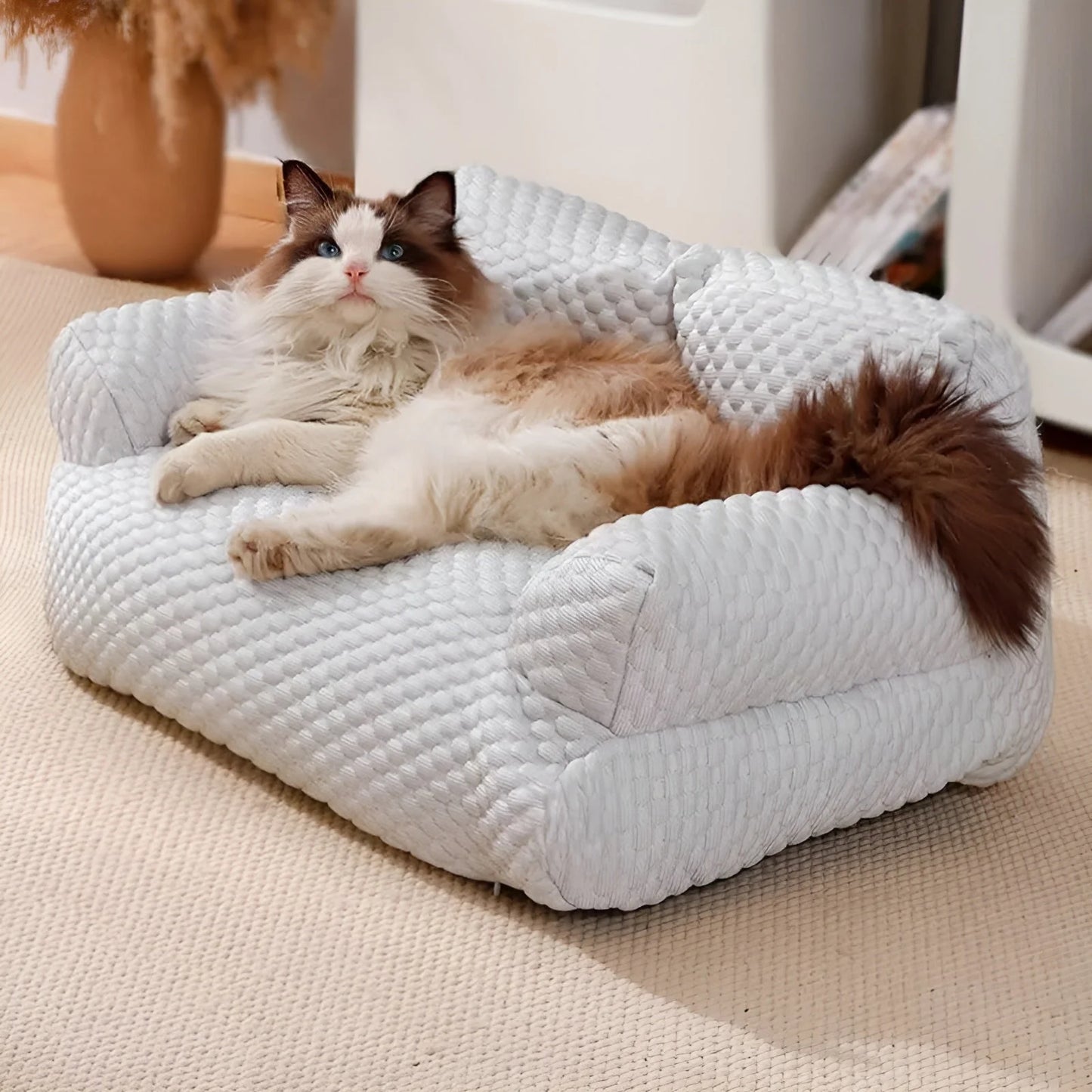 Waschbares Plüschkissenbett für Haustiere - KuschelPfoten