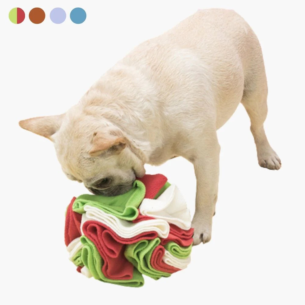 Schnüffelball für Hunde – SchnüffelBuddy