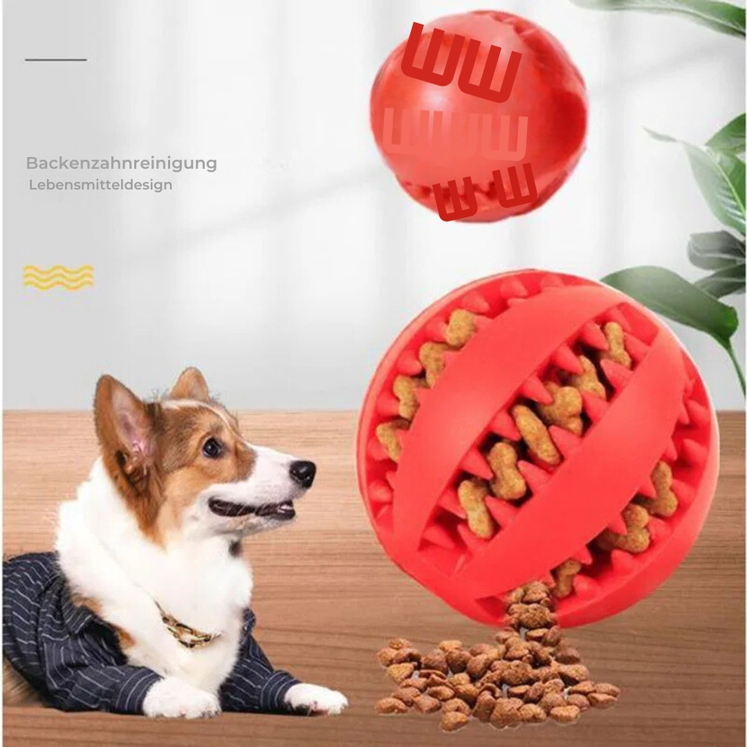 Hunde Leckerli Kauball zur Zahnreinigung