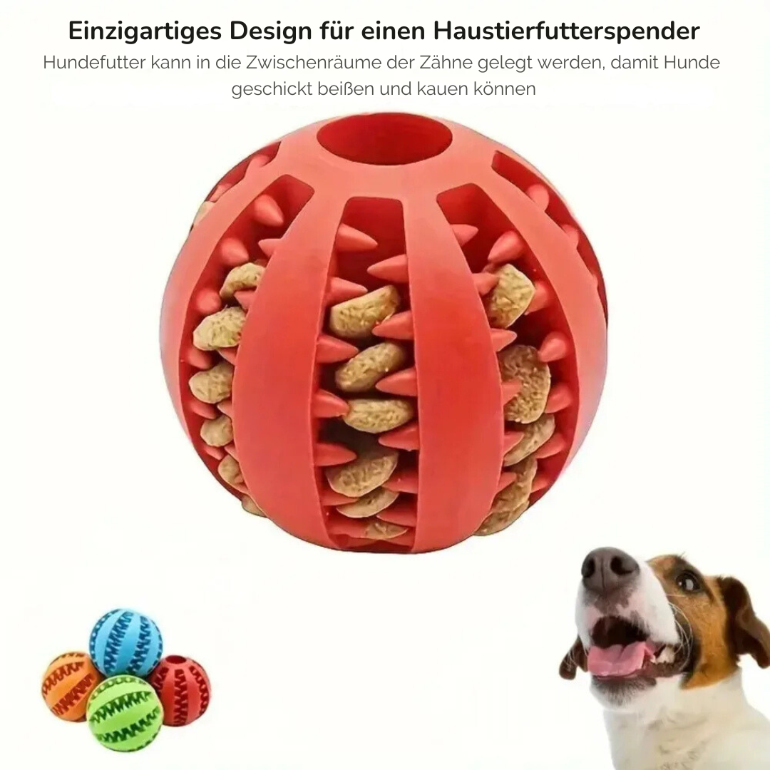 Hunde Leckerli Kauball zur Zahnreinigung