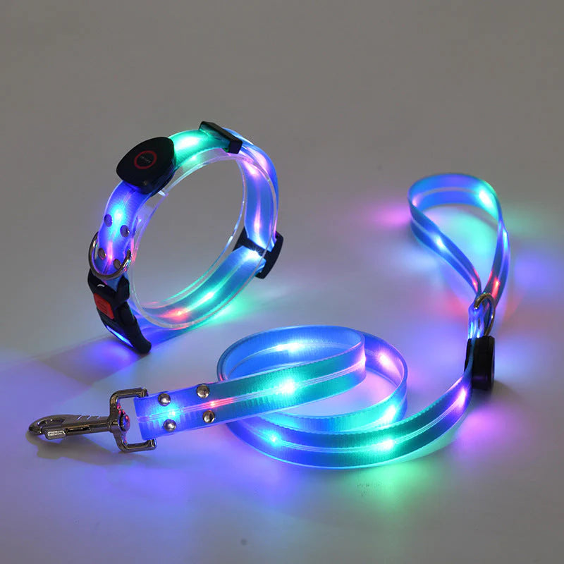 LED Hundehalsband mit Leine – NachtGlanz