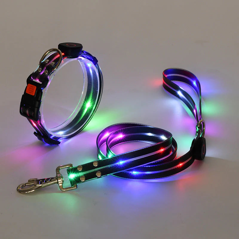 LED Hundehalsband mit Leine – NachtGlanz
