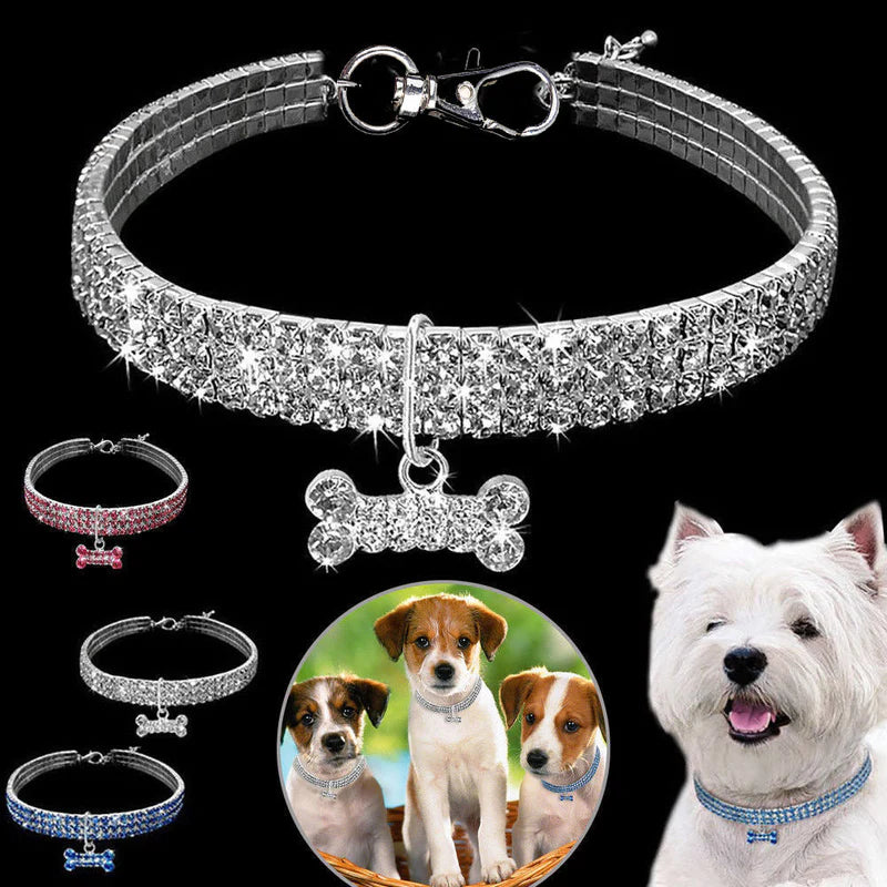 Glamouröses Haustierhalsband – FunkelCollar
