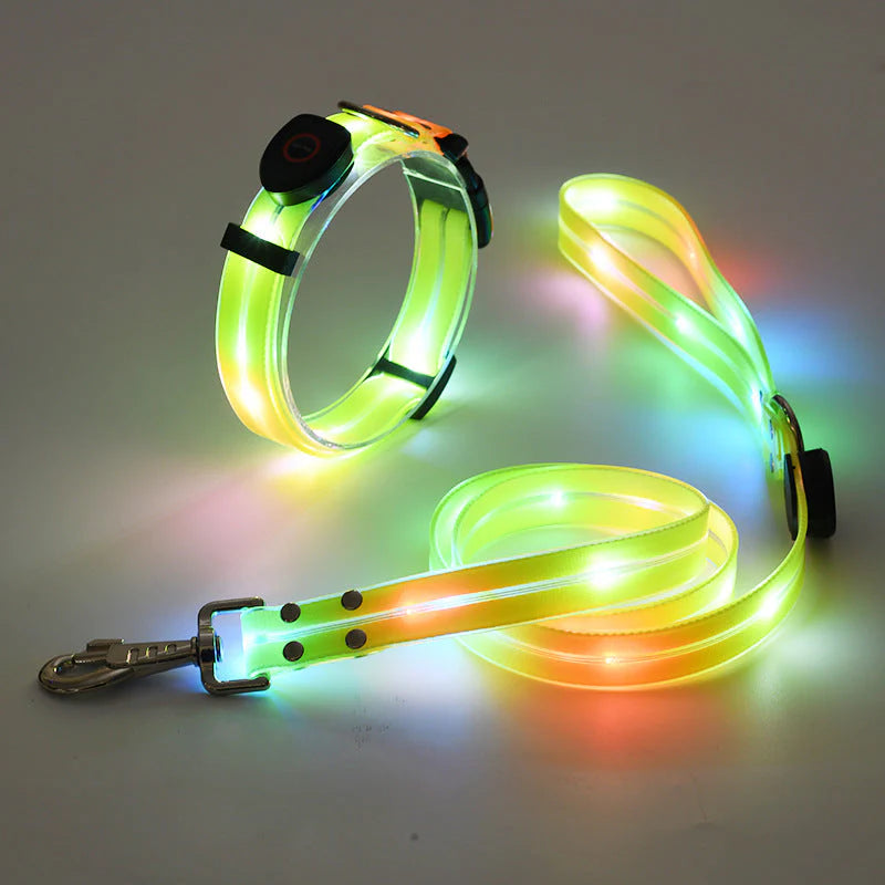 LED Hundehalsband mit Leine – NachtGlanz