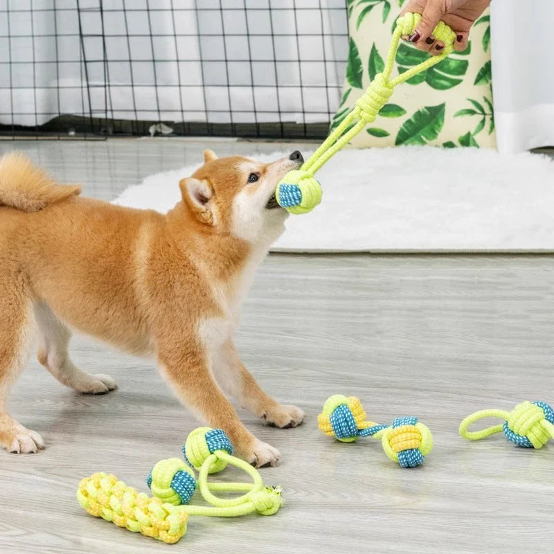 PlayPaw Seilball