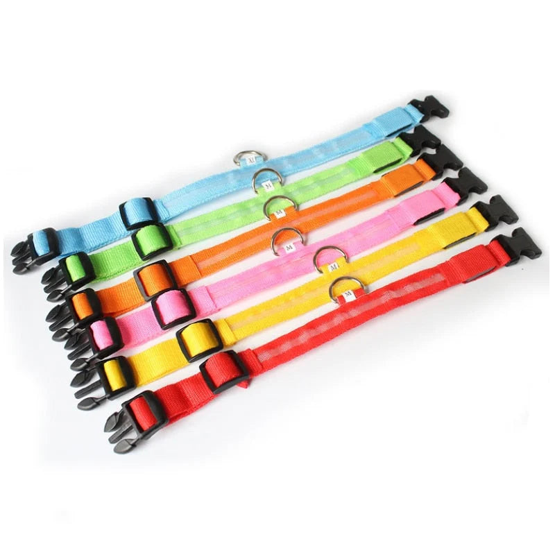 LeuchtHalsband LED - NachtGlanz
