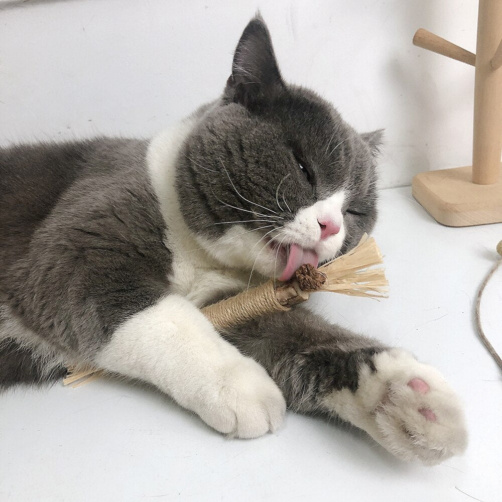 Katzenspielzeug– Interaktive Kau-Sticks für Katzen