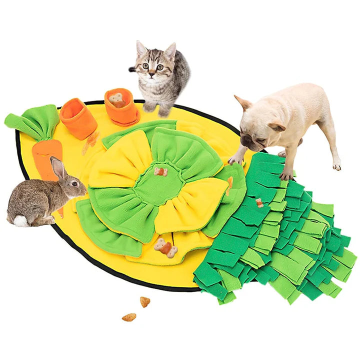 Schnüffelteppich für Hunde – SchnüffelSpaß