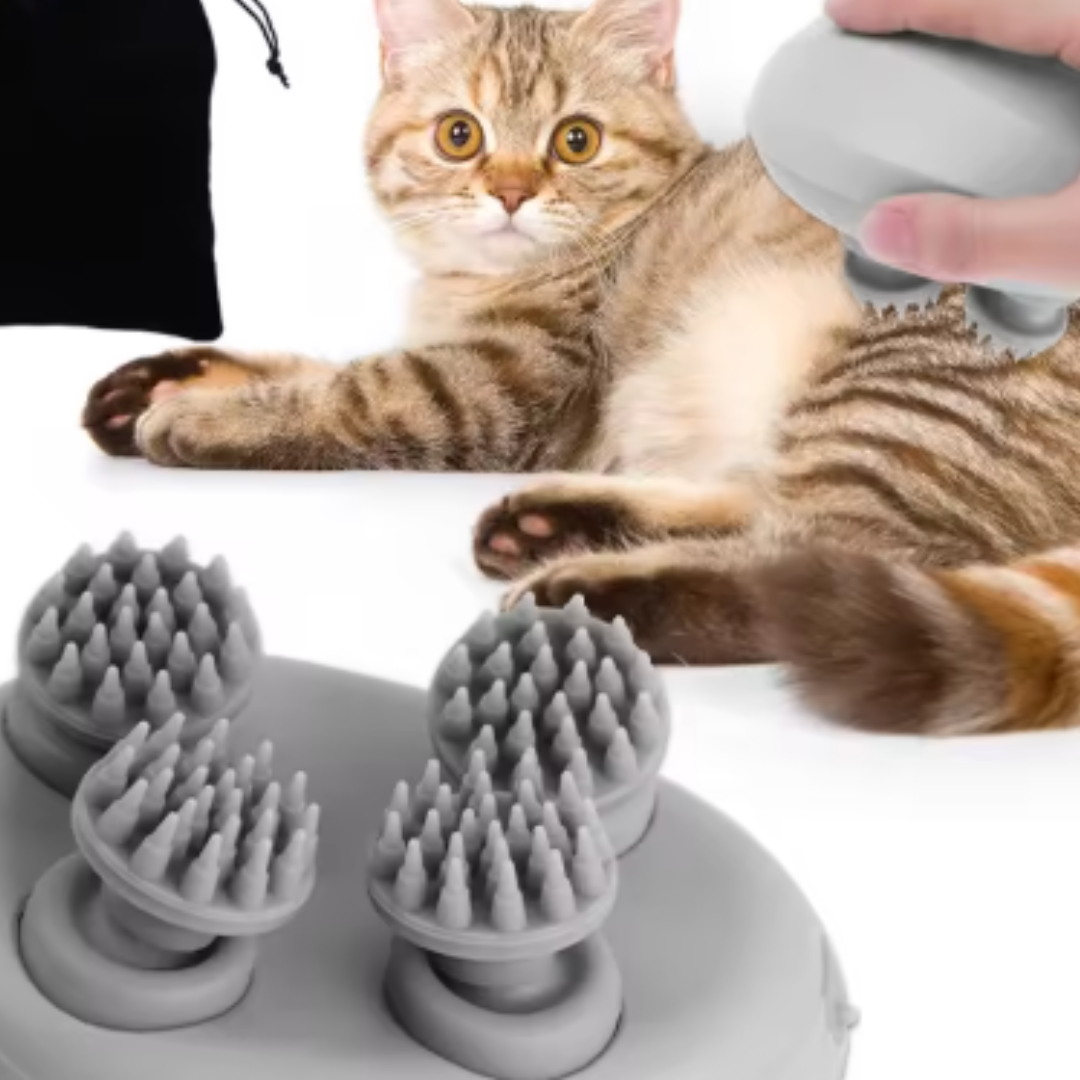 Elektrischer Massager für Haustiere und Menschen – RelaxMeister