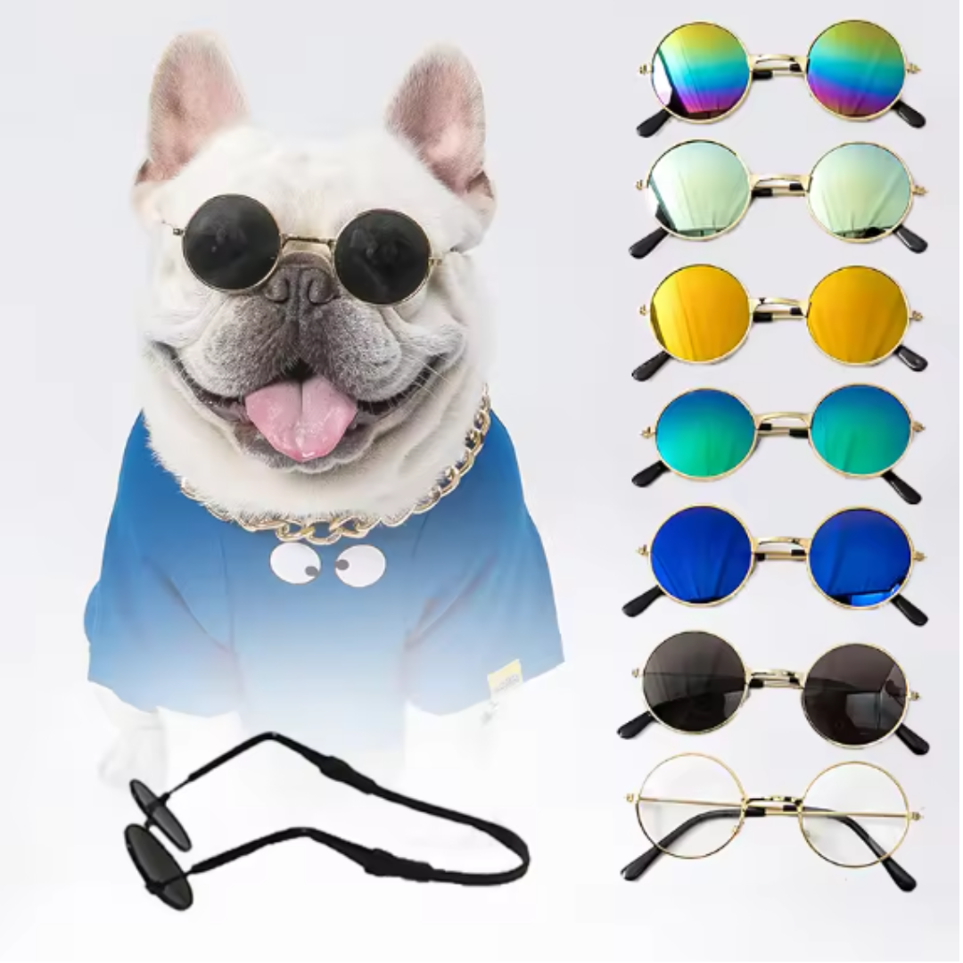 Stylische Katzenbrille - MiauStyle