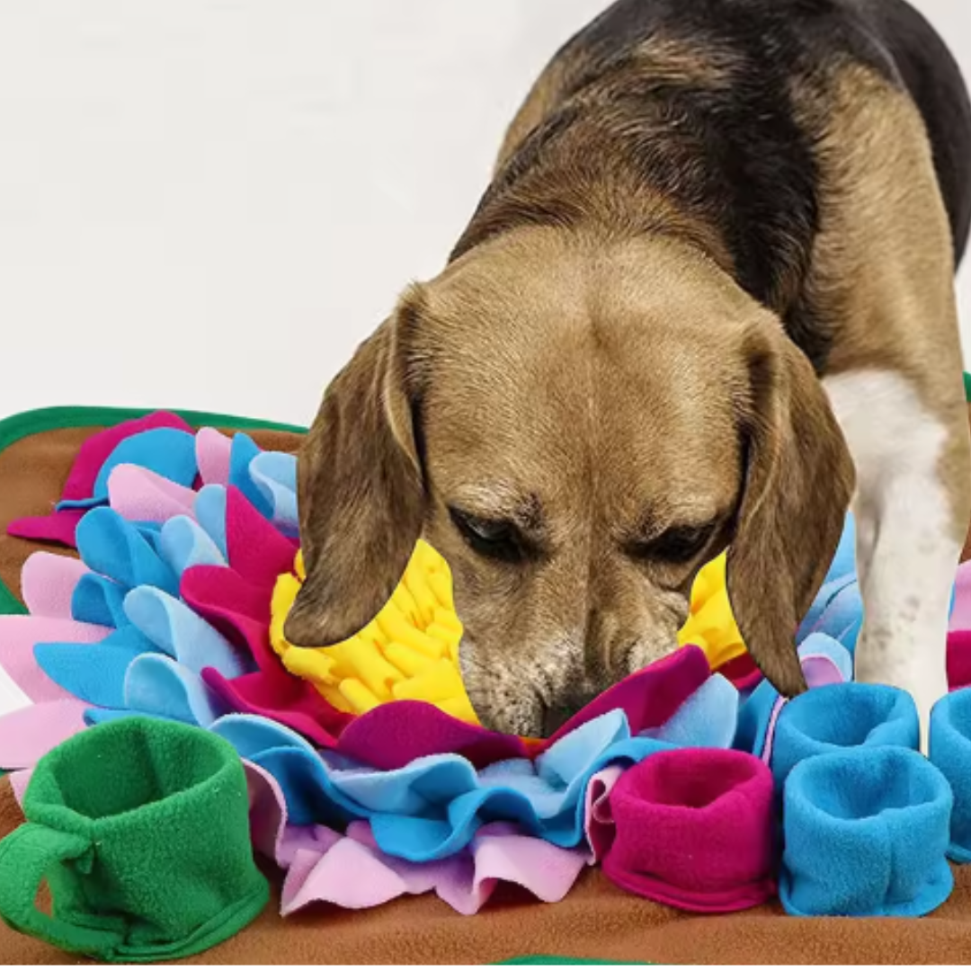 Extra Starkes Hundespielzeug – KauerKing