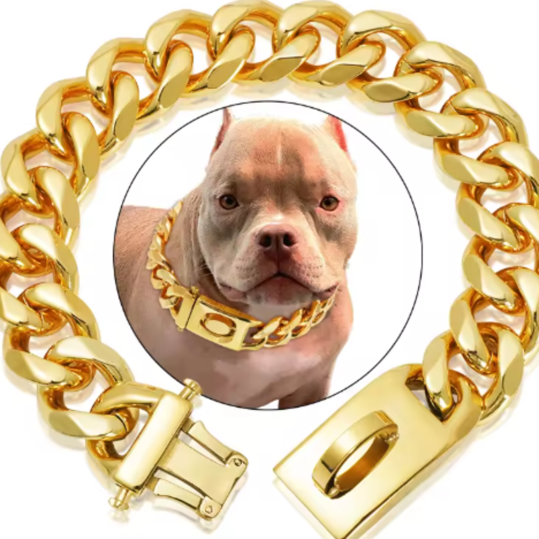 Titanstahl Hundehalsband