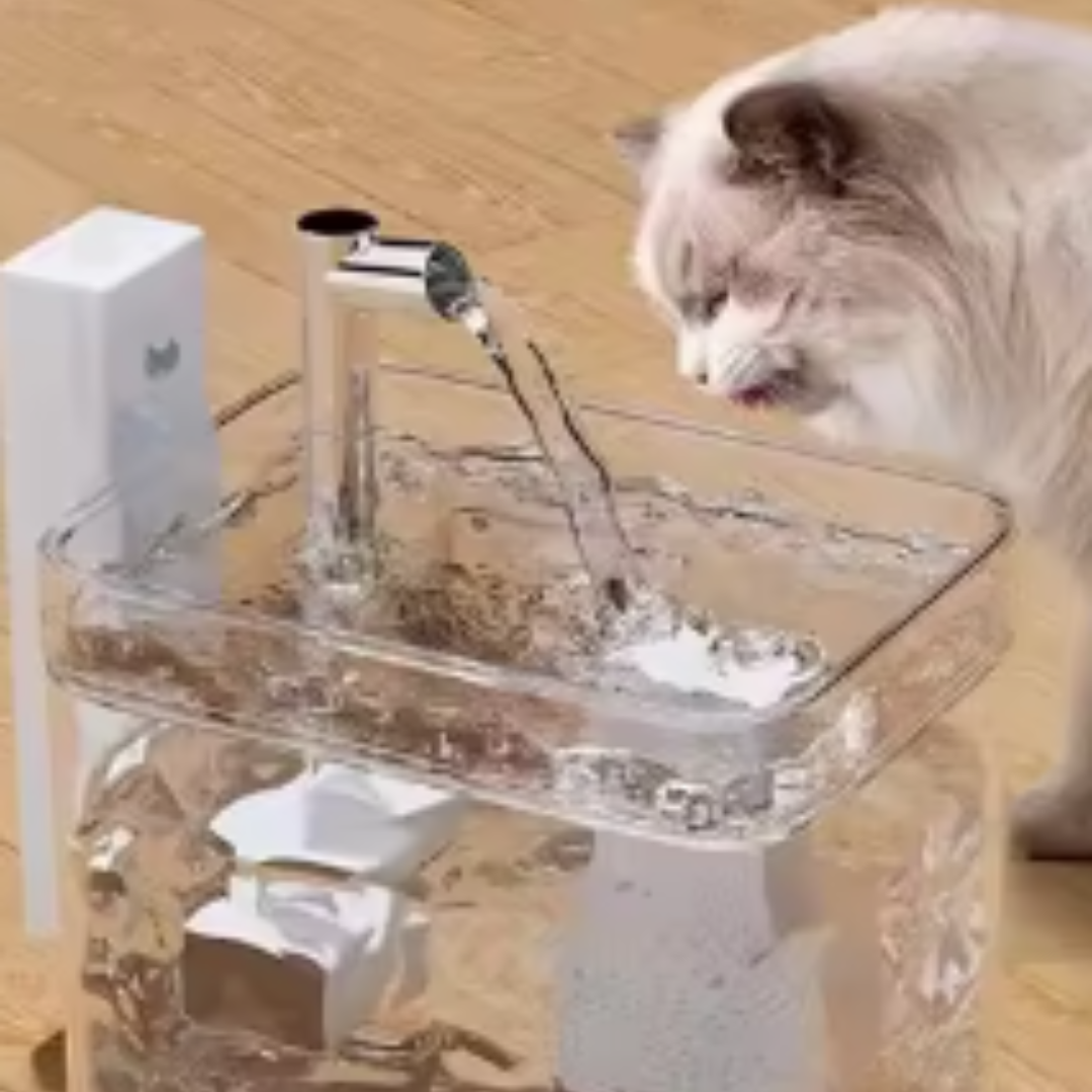 Trinkbrunnen für Haustiere - AquaRein Wasserspender