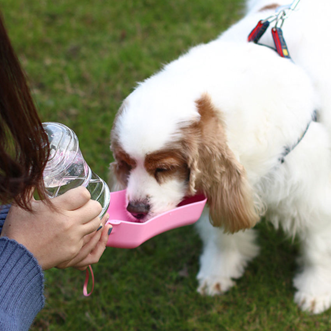 Praktische Hunde Trinkflasche