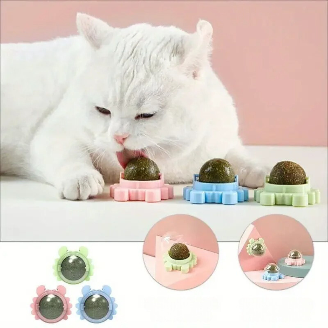 Katzenminze Ball