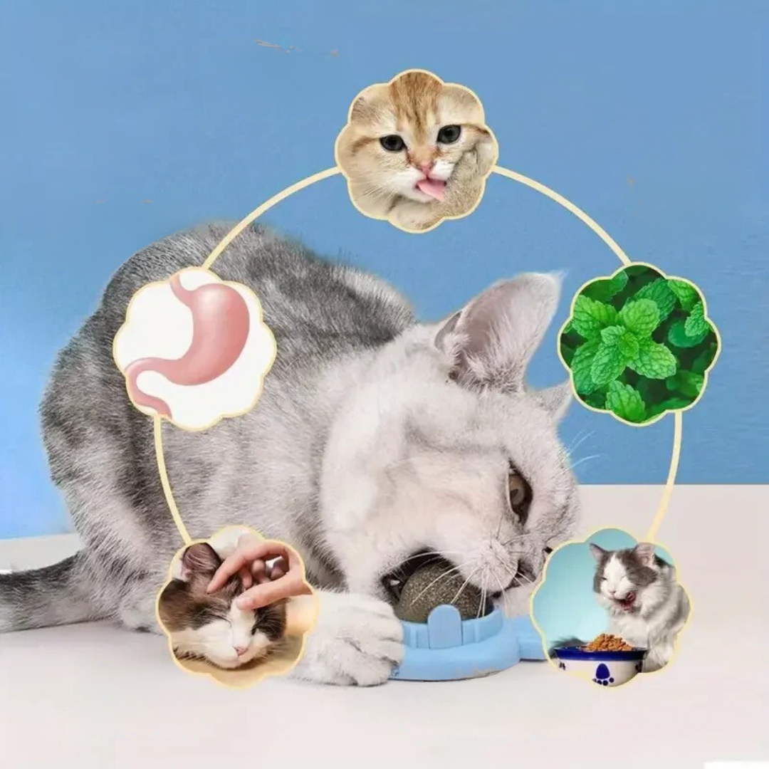 Katzenminze Ball