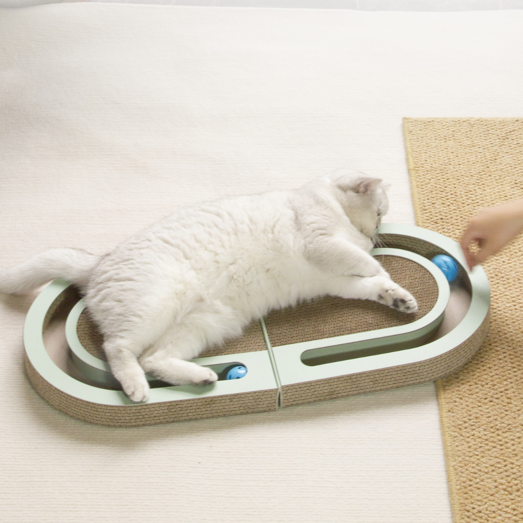 Katzen Kratz- und Spielbett aus Karton