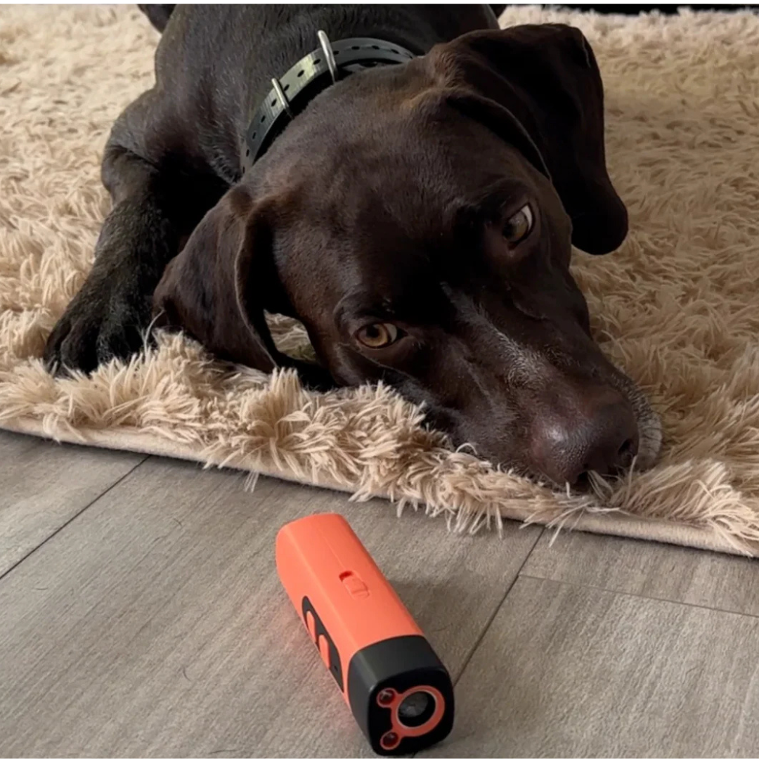 BellSchutz - Hundefreundliches Anti-Bell Ultraschall Gerät