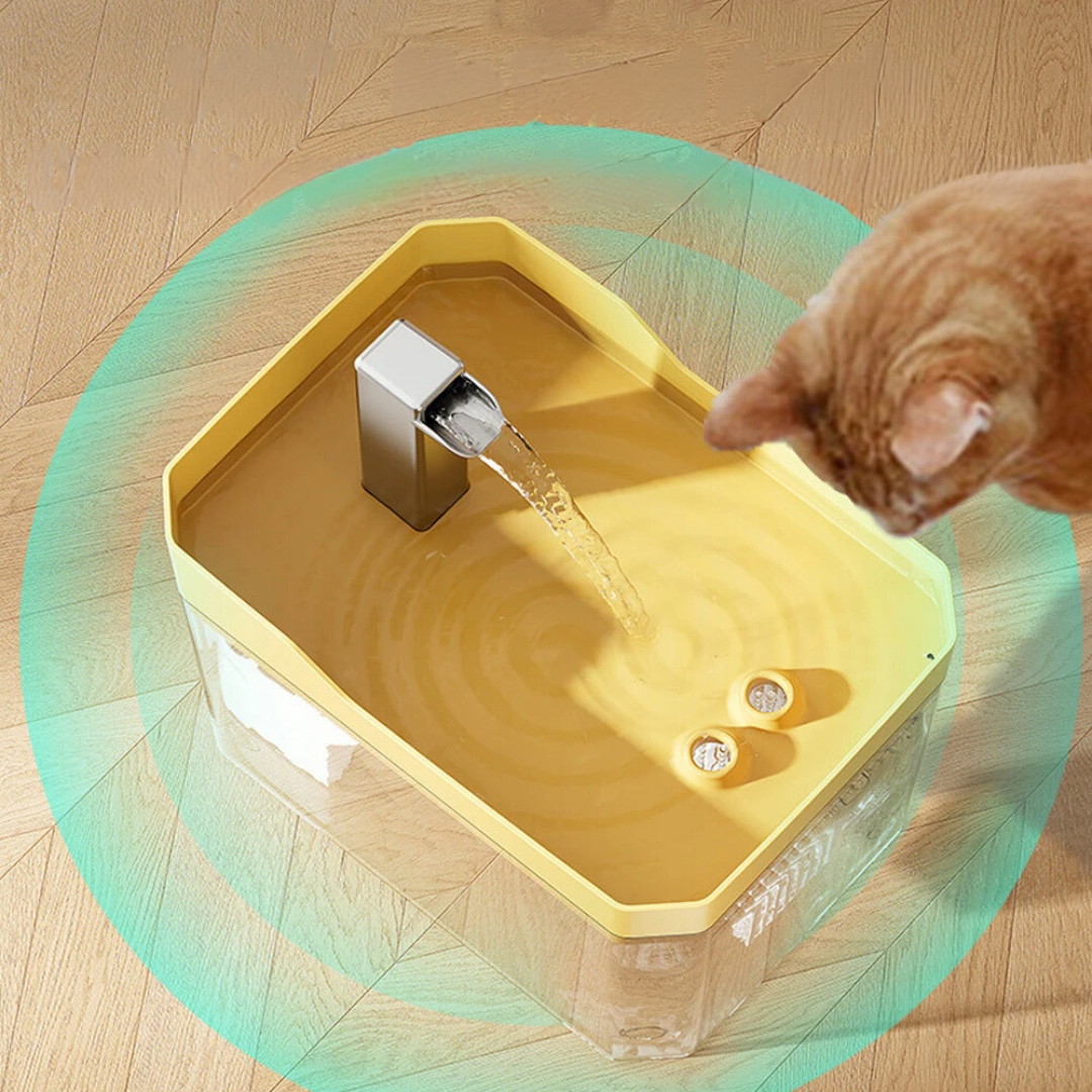 Premium Haustier Trinkbrunnen für Sauberes Wasser