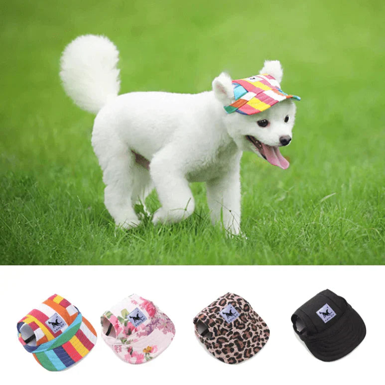Trendy Hundekappe - SonnenSchutz
