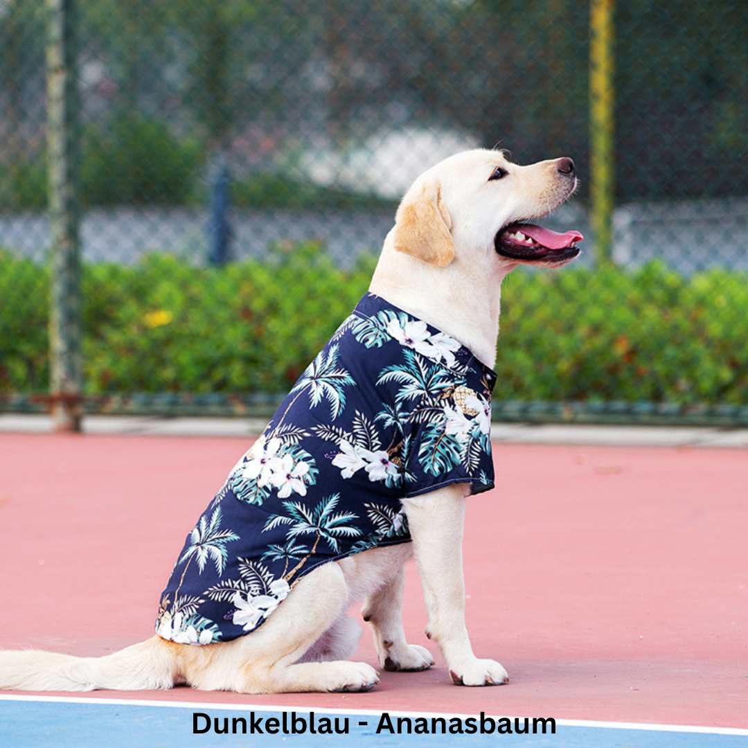 Hawaii-Hemd für Hunde